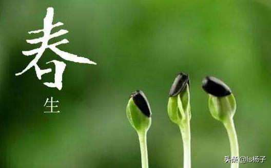 春季如何选择护肤品，让你迎接春光灿烂的好肌肤