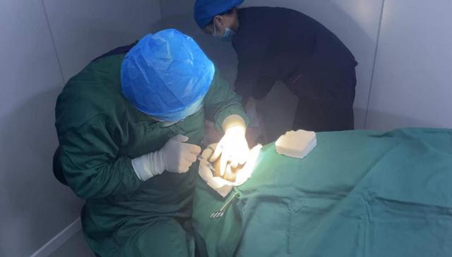 一图解析植发手术全流程，揭秘植发手术的全过程