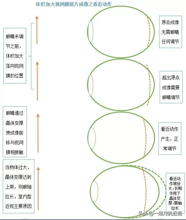 眼睛的成像原理示意图，眼睛所有成像过程一览