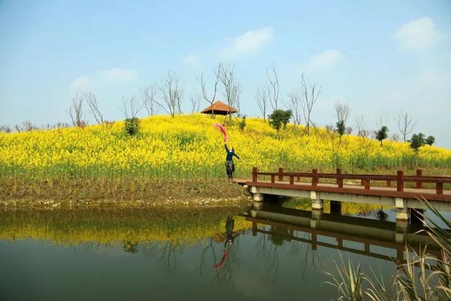 成都周边花海一日游，成都出发1h赏千亩梨花