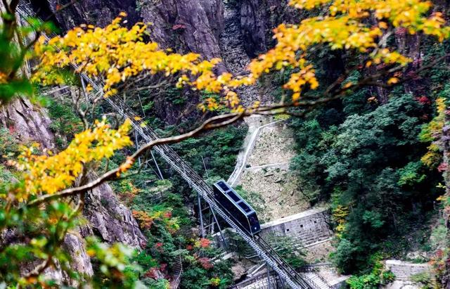 安徽黄山有哪些旅游攻略，这可能是有史以来最全的黄山旅游攻略——来自当地土著的攻略