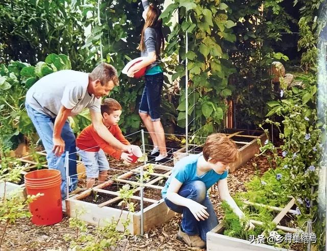菜园与花园的设计，成就田园生活的食材花园