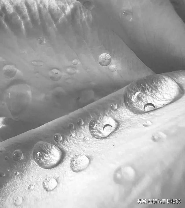 绿色星球有哪些，豆瓣评分9.8的绿色星球