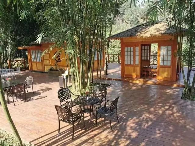 成都周边花海一日游，成都出发1h赏千亩梨花