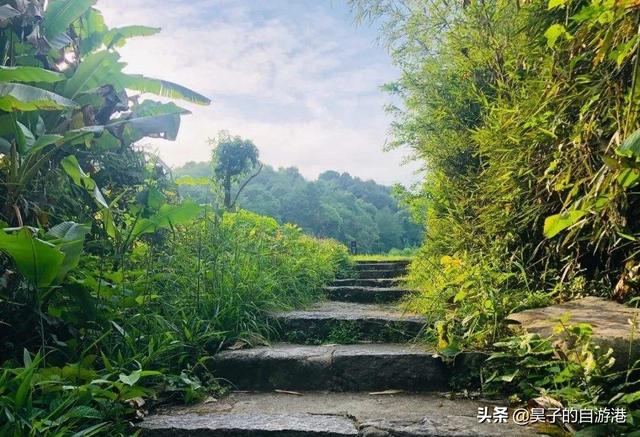 江西十大佛寺，江西最有底蕴的七大佛教名山