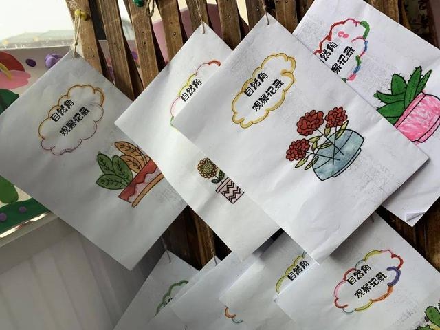 幼儿园自然角在线研讨，小小自然角春意盎然中