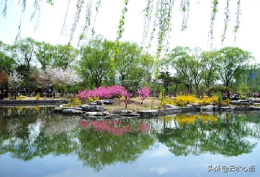 杜甫的五言绝句，杜甫的十首五言绝句（杜甫的两首佳作）