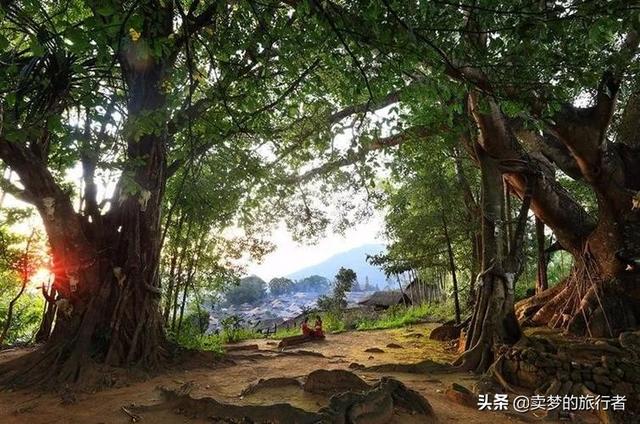 云南临沧市最美风景，到秘境临沧，与茶山亲密接触