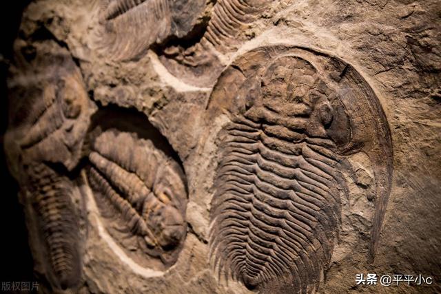 地质年代简表，2020年最新国际年代地层表