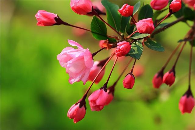 飞花令里读诗词，飞花令诗词大全（飞花令里读诗词）