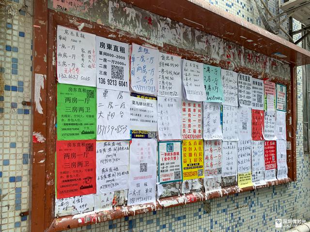 深圳南山500元以下房屋出租信息，在福田南山能租到什么样的房子