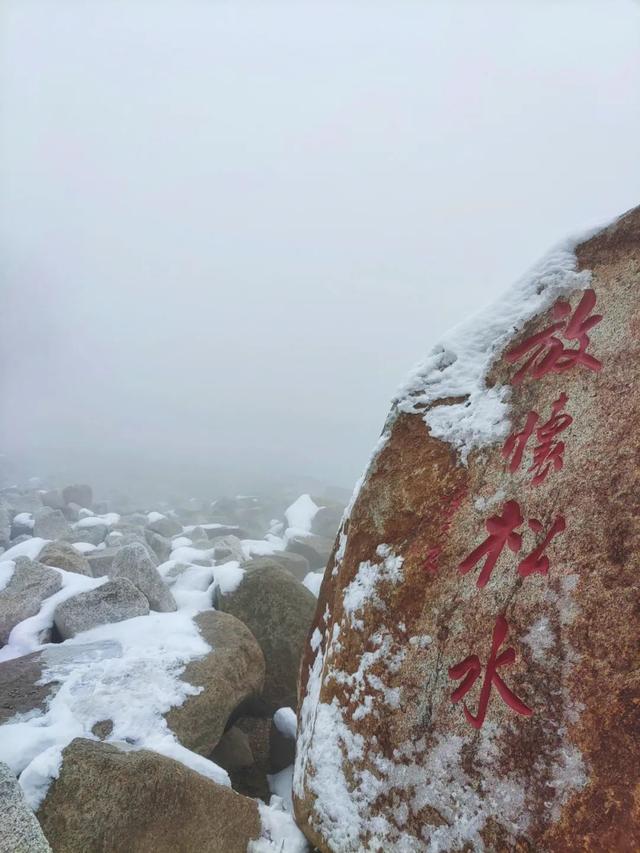 吉林雾凇景色奇特三九严寒，冰天雪地中的美景——吉林雾凇