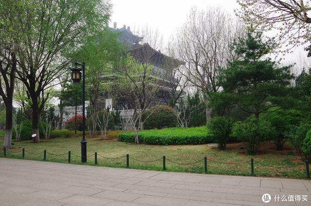 厦门大明湖春节有什么好玩的地方，厦门大明湖畔：水仙绽放贺春来