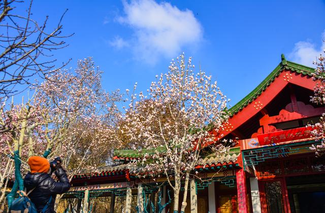 厦门话经典方言，厦门话方言词汇（有些话连老厦门都看不懂）