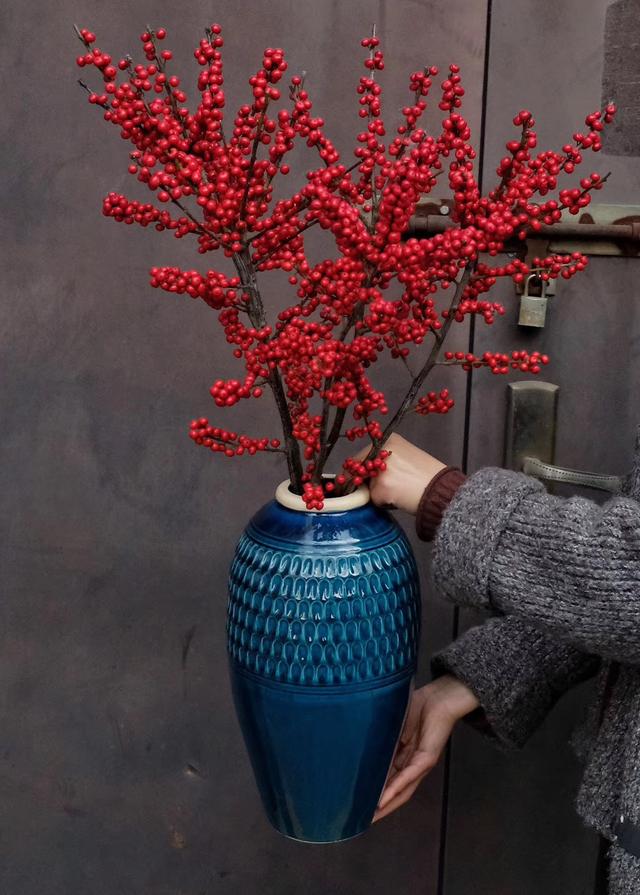 北美冬青什么时候开花结果，好看好养又耐寒