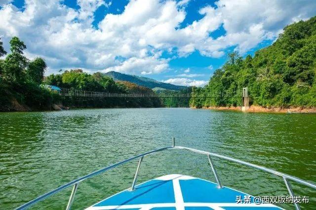 望天树景区跟原始森林去哪个好，望天树景区开园了