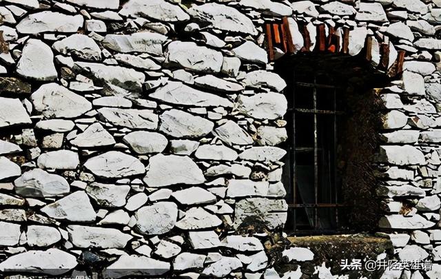 蟋蟀叫声大全，夜晚蛐蛐儿<蟋蟀>的叫声