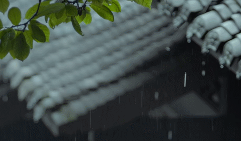 窗前听雨意境，在静怡的时光里听雨