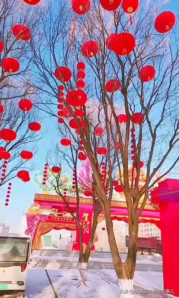 精美高清鲜花壁纸，漂亮鲜花送给您