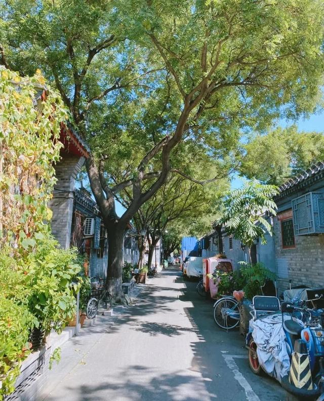 北京煤市街美食，北京美食之旅<一>