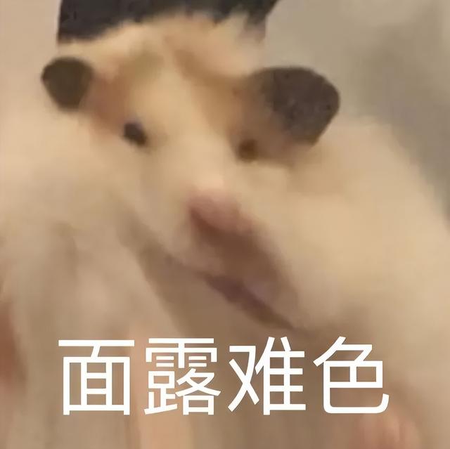 小仓鼠动态迷你表情包，变形脸仓鼠可爱老鼠