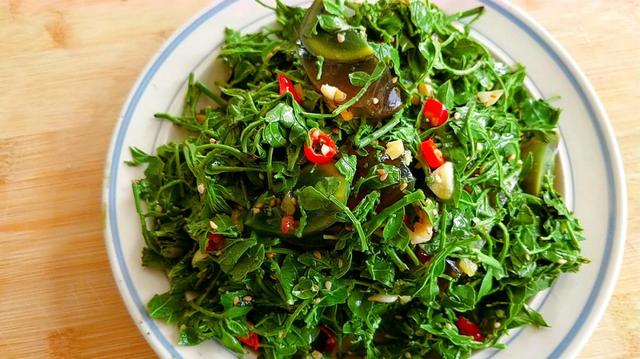 花椒芽怎么做好吃，花椒芽怎么吃好吃