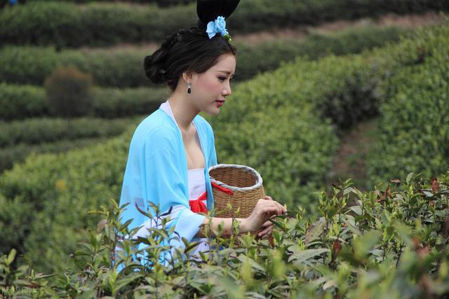 沈珍珠真实历史结局，沈珍珠的历史真实故事