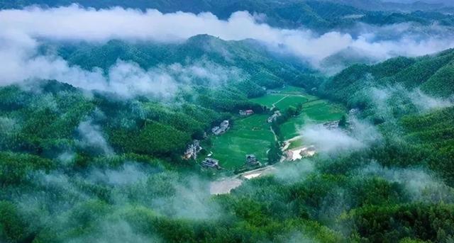 江西十大岩茶，这3款受到偏爱