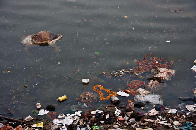 印度鲶鱼泥土里也能活，印度恒河的怒吼
