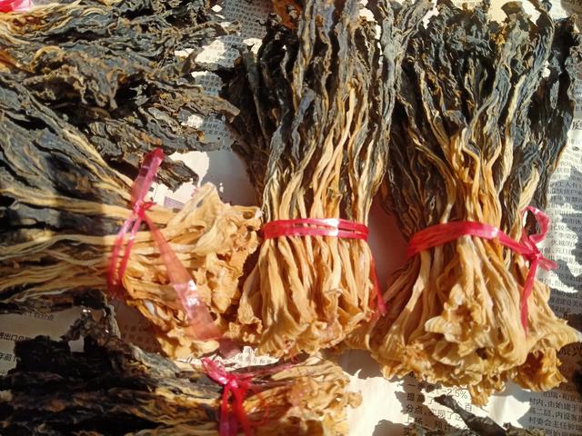 中山崖口村自驾看日出路线，海陵岛至台山梅家大院