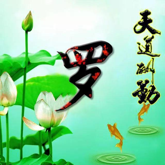 荷花头像图片大全，荷花头像高清图