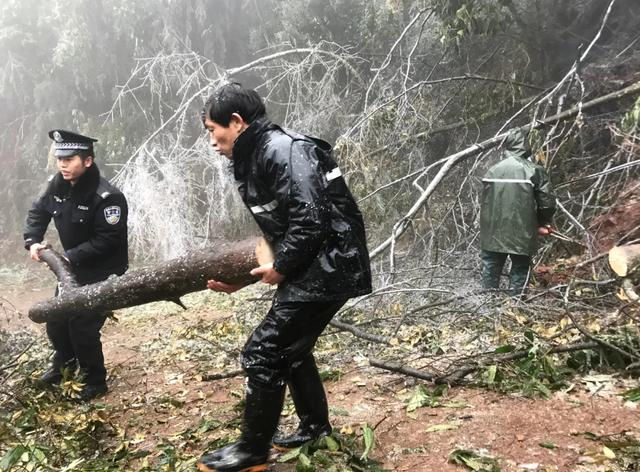 广西哪几个县道路结冰，广西多地出现冰冻、雾凇