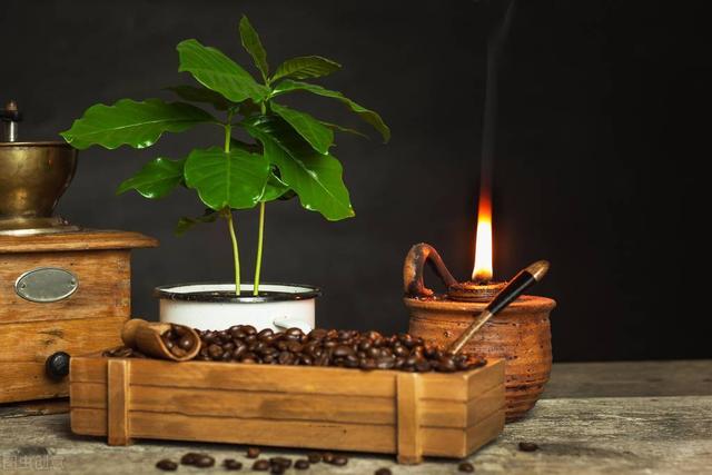 世界农业第一强国，世界十大最顶尖的农业