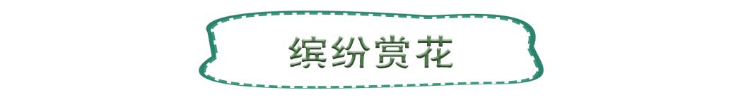 南山旅游攻略必去景点，南山旅游景区花开正好时
