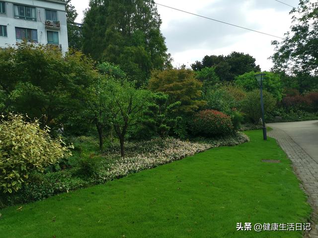 上海最值得徒步的路线，徒步上海普陀区甘泉公园