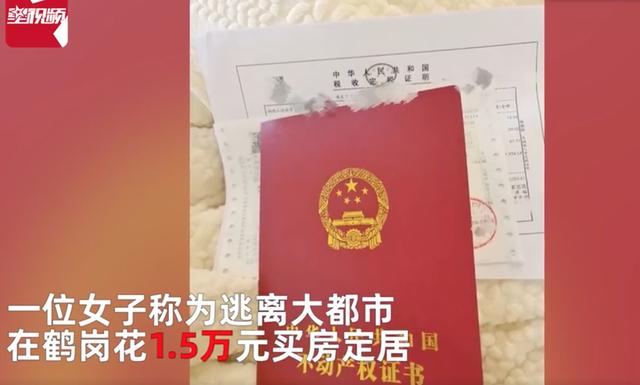 鹤岗gdp，在鹤岗买房真的值吗