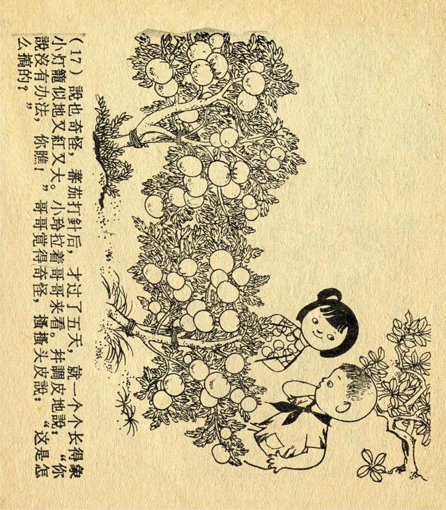 50年代少儿题材连环画，老版经典连环画宝水