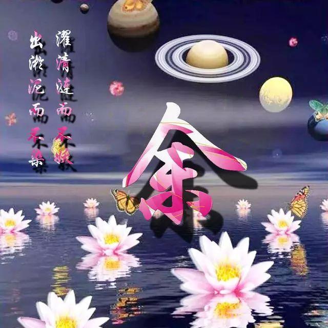 荷花头像图片大全，荷花头像高清图