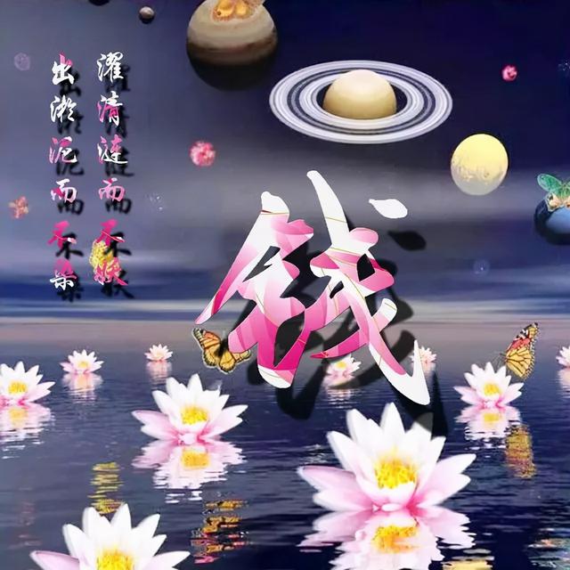 荷花头像图片大全，荷花头像高清图