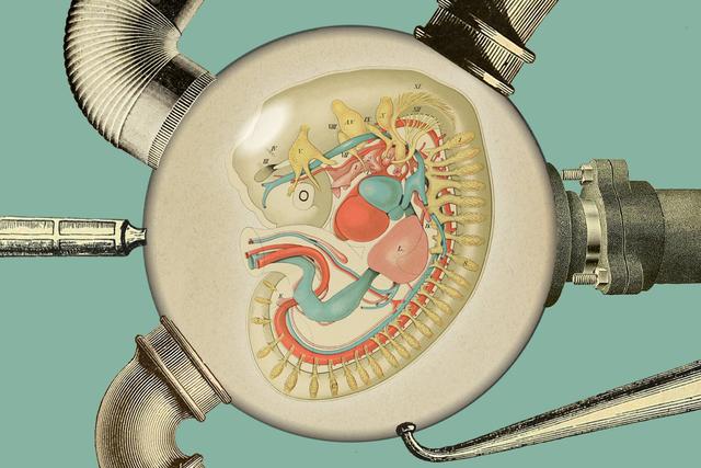 人造子宫几个月可以生孩子，十万八万的也能生个孩子