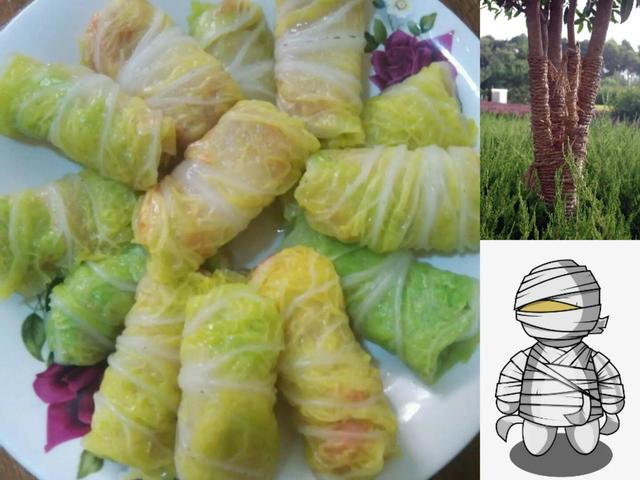 字母r可以想象成什么，wr字母组合的形象和含义