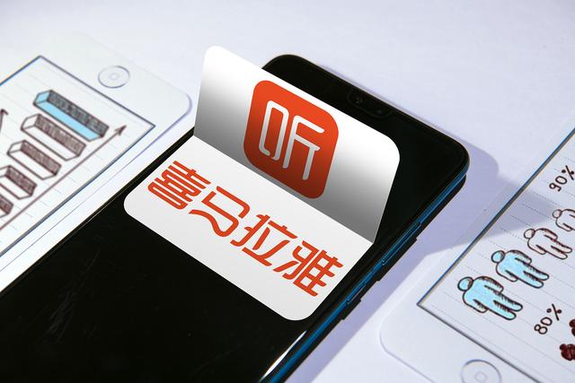 喜马拉雅发力金融，喜马拉雅2022营收
