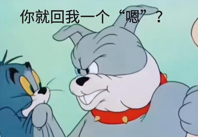 一个哈士奇指着你的表情包啥意思，近视人士福利——哈士奇指人/狗指人