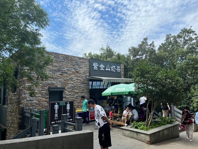 紫金山爬山最佳路线图夜爬，爬山人员小到三四岁的