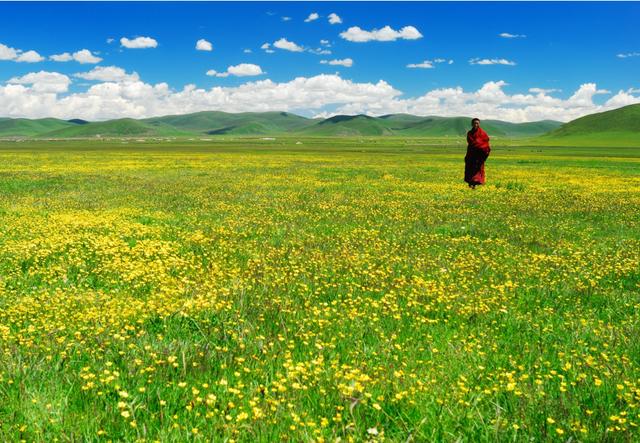 川西7月自驾游最佳线路图及价格，7月川西盛夏出发