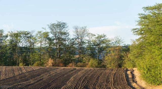 西安六朝古都经历多少年，西安在1100年里见证了十三个王朝的陨落