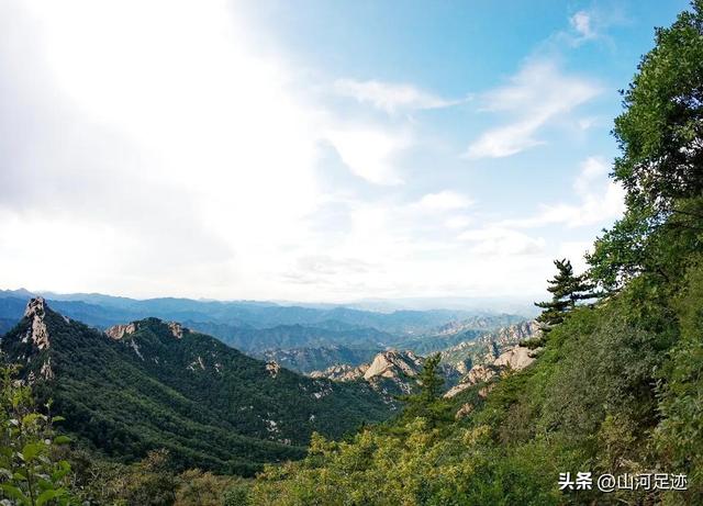 伏见桃山起源，来自日本天皇陵墓的奶茶