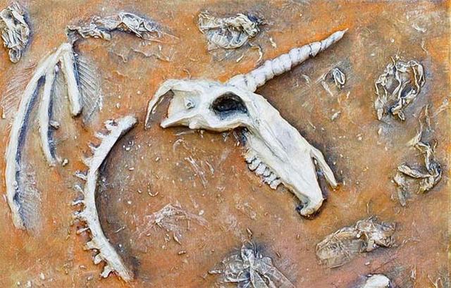 独角兽灭绝了吗，独角兽为什么会被灭绝