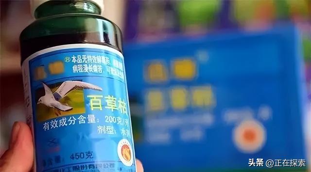 百草枯幸存者自述，服毒自尽的人有多痛苦（西瓜视频带你了解真实感受）