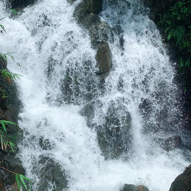广州白水寨风景名胜区瀑布介绍，北回归线上的壮丽瀑布